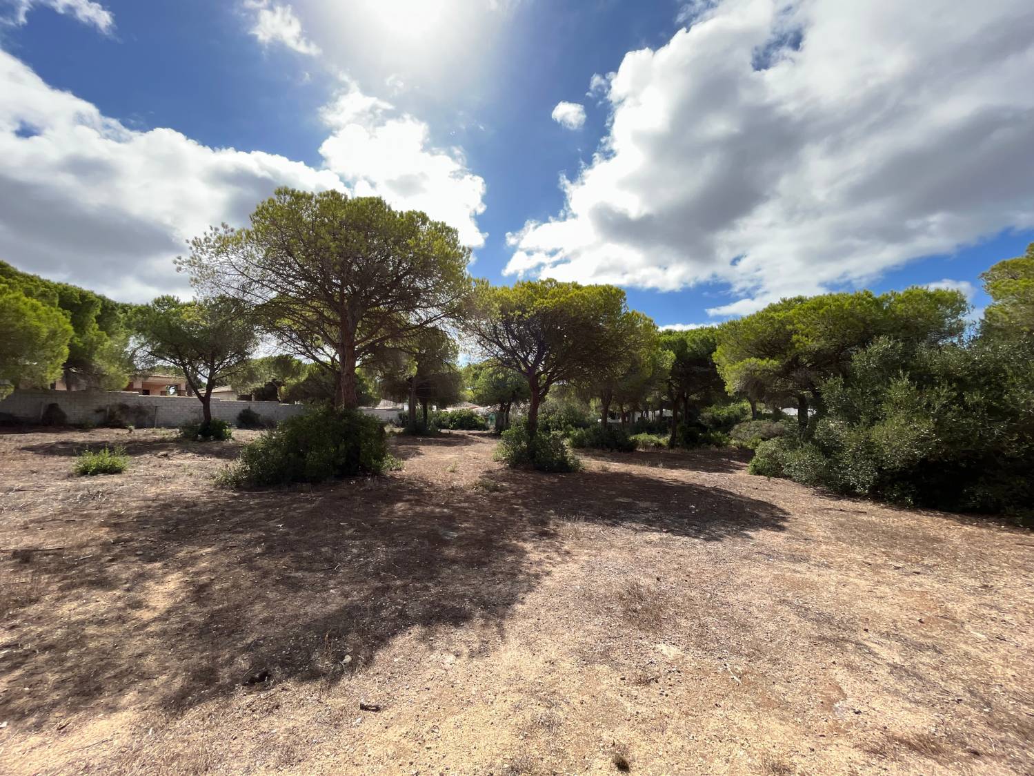 imagen 1 de Finca rústica en La Espartosa (Chiclana)