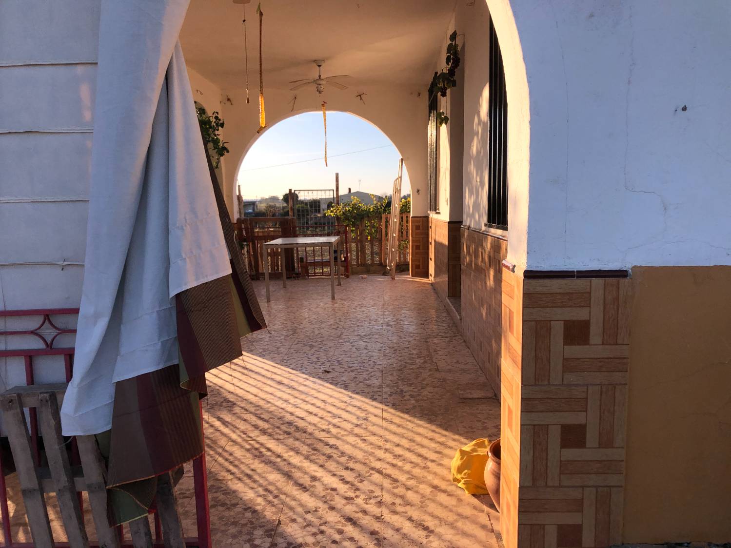imagen 1 de Finca La Palma