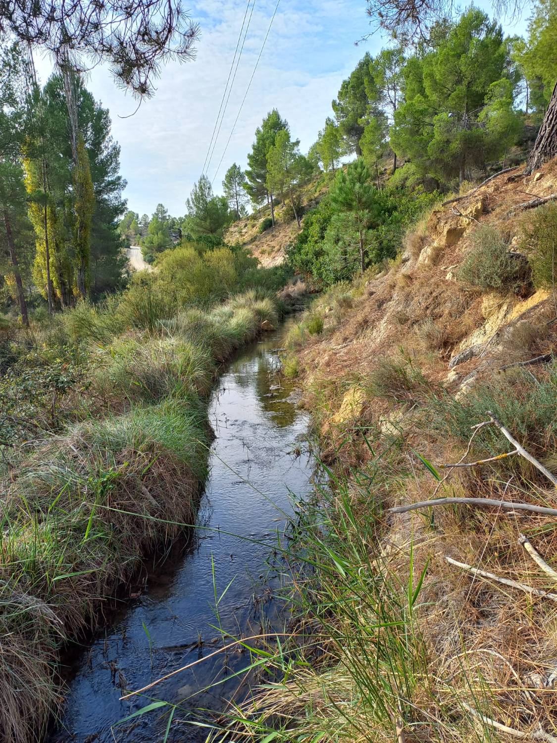 imagen 1 de FINCA EL MOLINO (LETUR, ALBACETE)