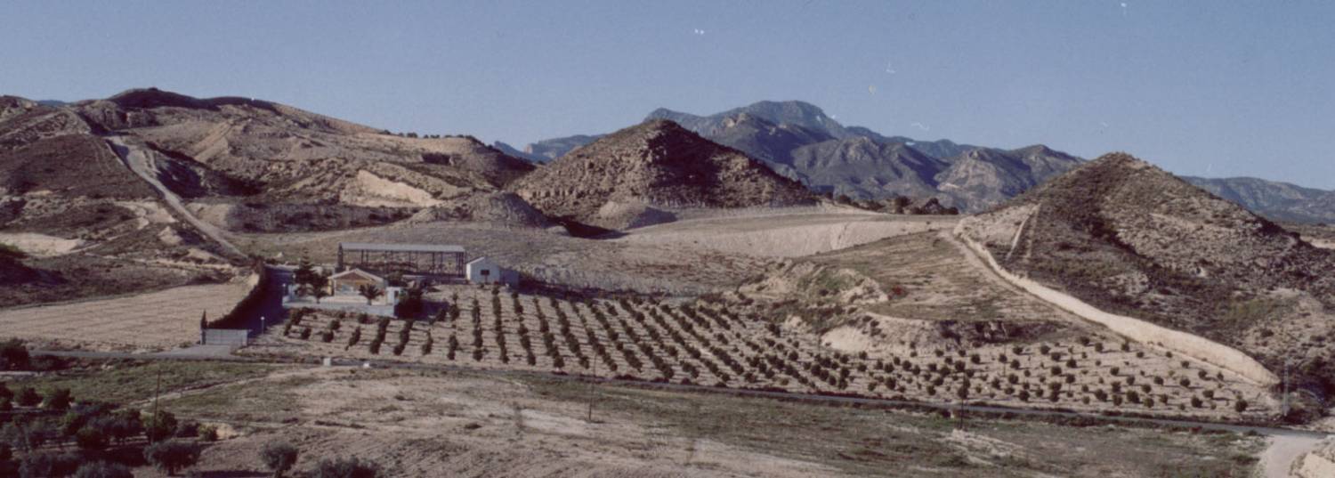 imagen 1 de Finca agrícola con casa