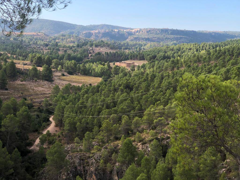 imagen 1 de Finca de regadío El Molino