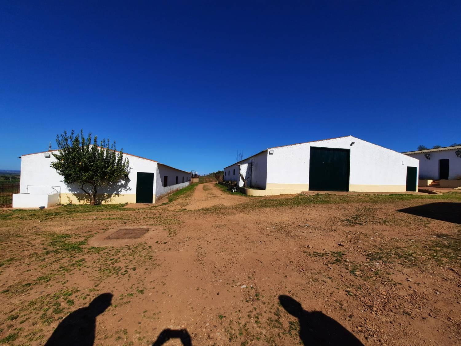 imagen 1 de FINCA EN OLIVENZA-BADAJOZ