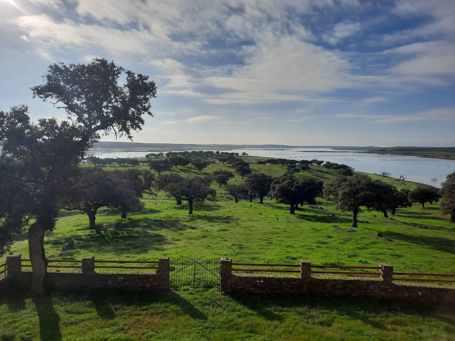 imagen 1 de Finca ganadera en Extremadura, cerca Zorita