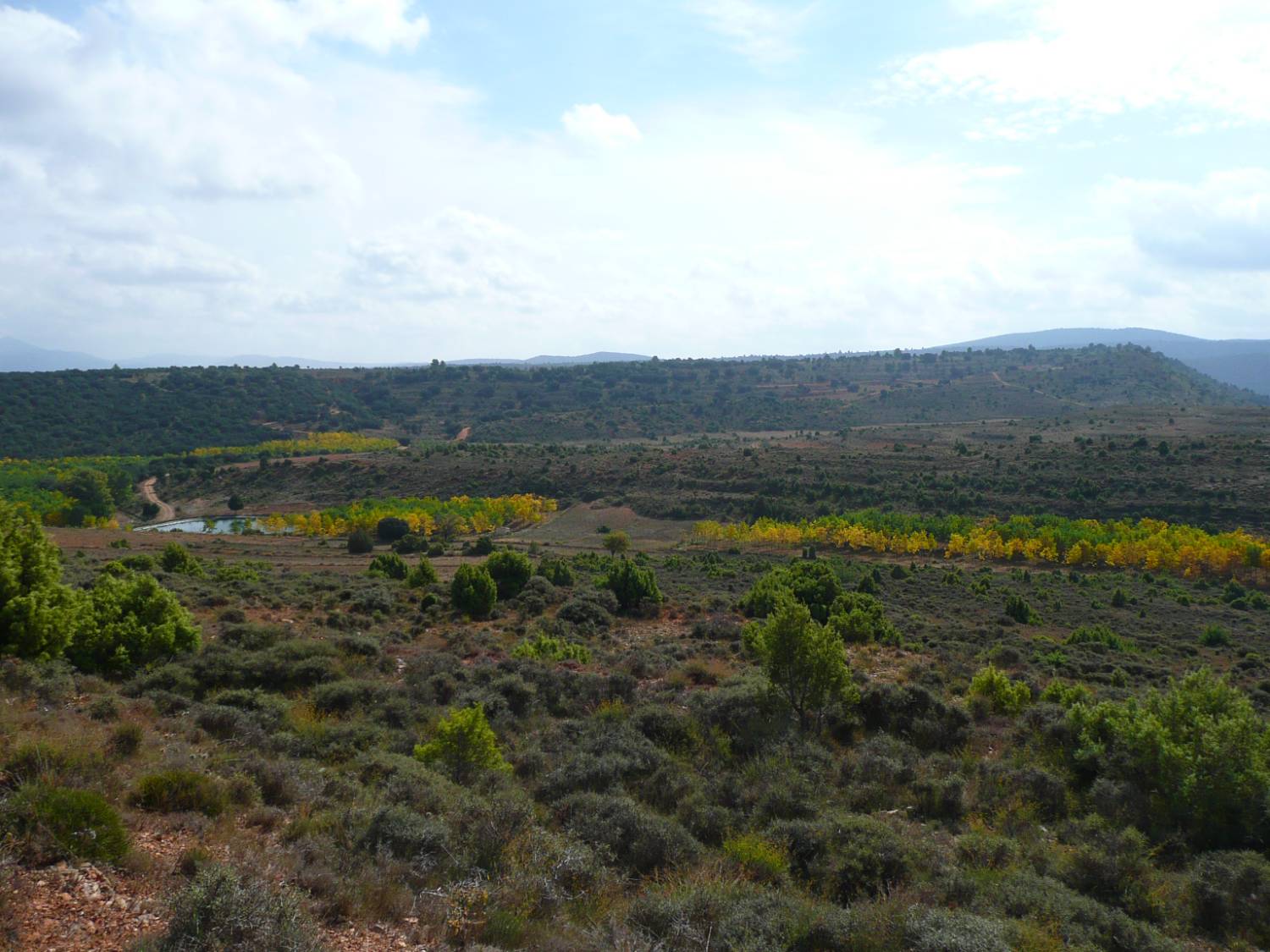 imagen 1 de FINCA RÚSTICA PARA CULTIVO DE TRUFA