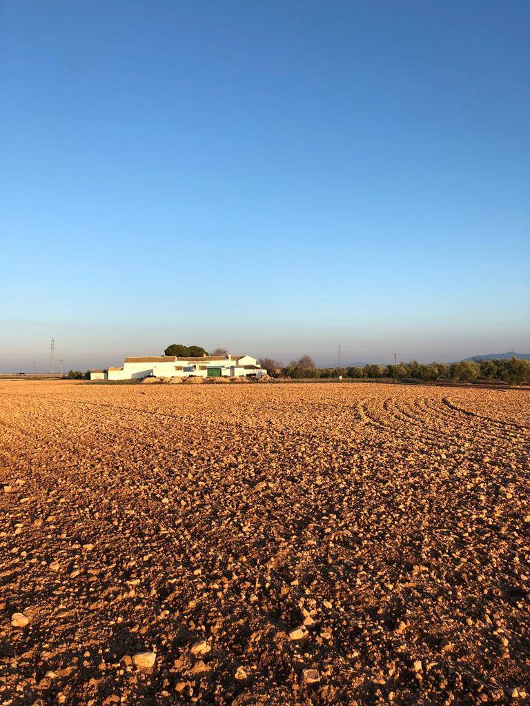 imagen 1 de Finca de 115 Ha en produccion de secano