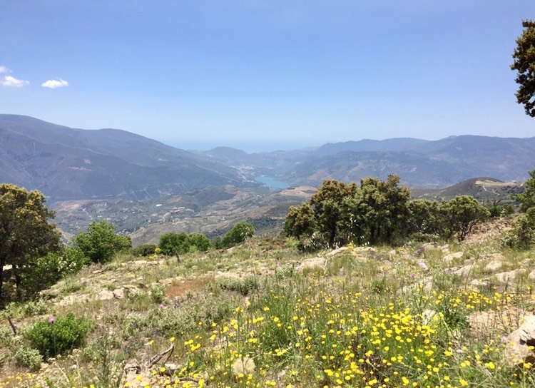 imagen 1 de Finca de regadio en la Alpujarra
