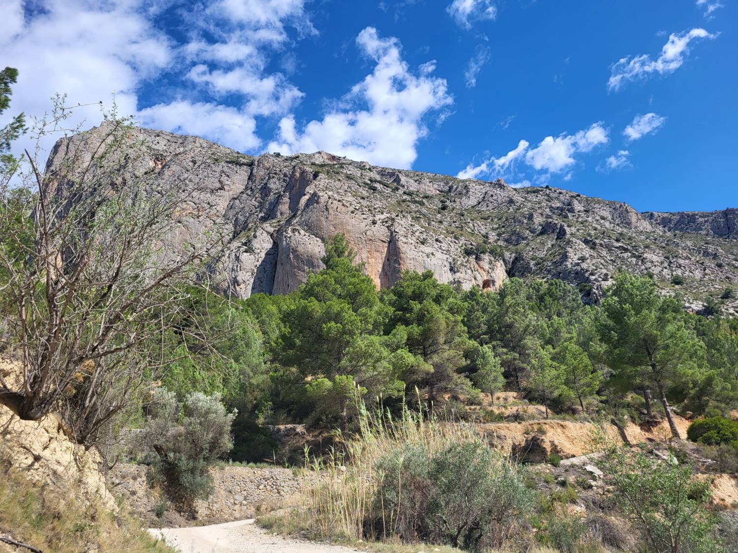 imagen 1 de Finca de 30 Ha a 20 kms de Benidorm y en plena naturaleza
