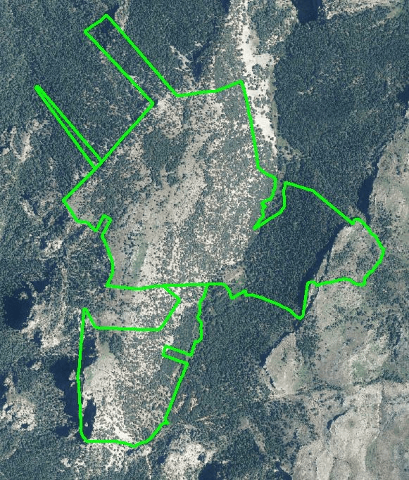 imagen 1 de Pinares y pastos en Sierra de Segura