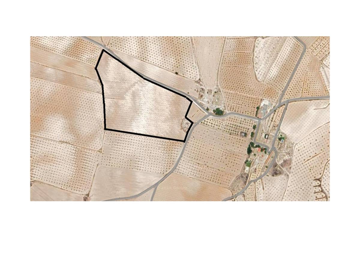 imagen 1 de VENDO FINCA RÚSTICA SECANO ALMENDROS ECOLÓGICOS 5 HA. EN LA RAJA-JUMILLA