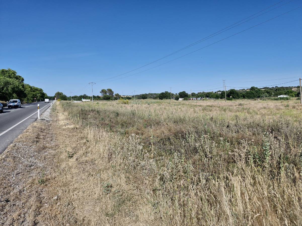imagen 1 de FINCA RÚSTICA EN NAVALCARNERO JUNTO A CARRETERA