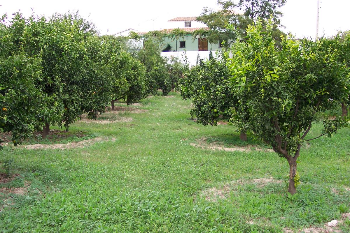 imagen 1 de Venta de la Huertecica