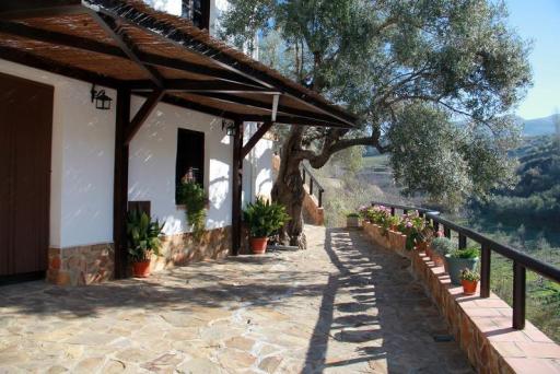 imagen 2 de Cortijo de recreo y bodega