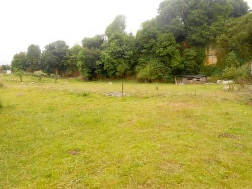 imagen 3 de Venta de finca en Vidayan (Oviedo)