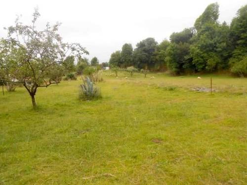imagen 4 de Venta de finca en Vidayan (Oviedo)