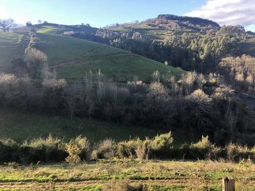 imagen 1 de Venta de finca para ganado en Salas