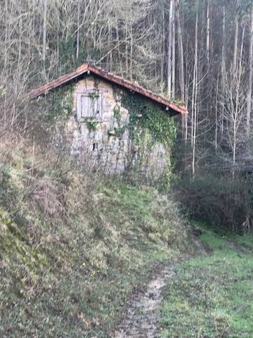 imagen 2 de Venta de finca para ganado en Salas