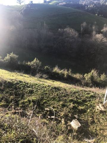 imagen 4 de Venta de finca para ganado en Salas