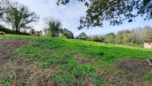 imagen 7 de Venta de terreno en Fresneda (Lugones)