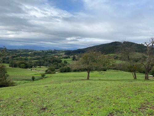 imagen 3 de Venta de finca para ganado