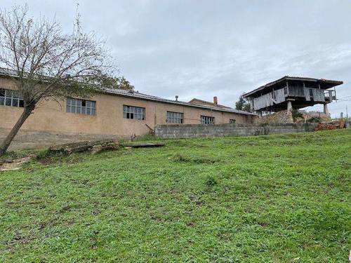 imagen 4 de Venta de finca para ganado