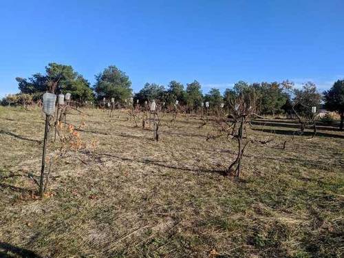 imagen 2 de Venta parcela rústica en El Bohodon