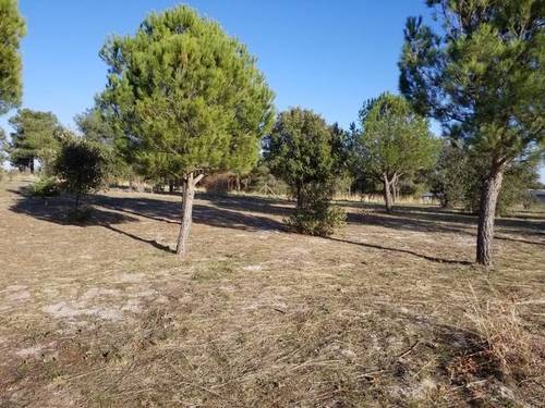 imagen 5 de Venta parcela rústica en El Bohodon