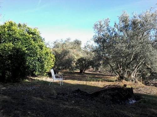 imagen 1 de Venta de finca en Arenas De San Pedro