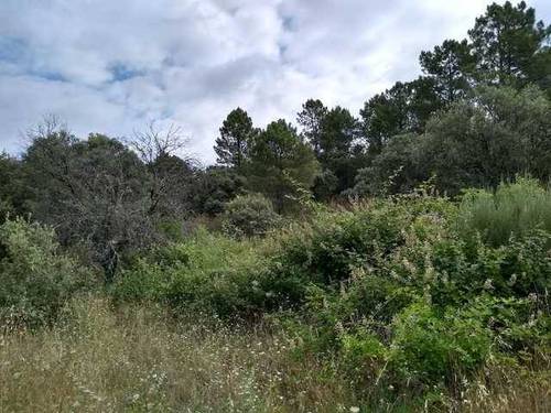 imagen 4 de Venta de terreno para alojamientos rurales en Ávila ⛺