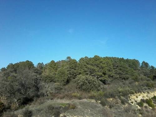 imagen 7 de Venta de terreno para alojamientos rurales en Ávila ⛺