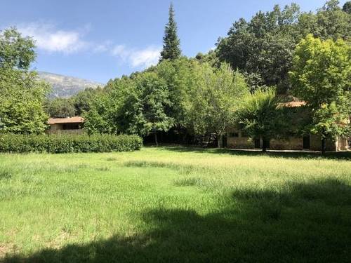 imagen 1 de Venta de finca rústica en Candeleda