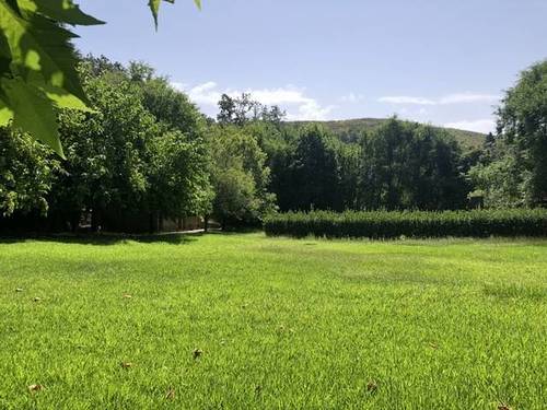 imagen 7 de Venta de finca rústica en Candeleda