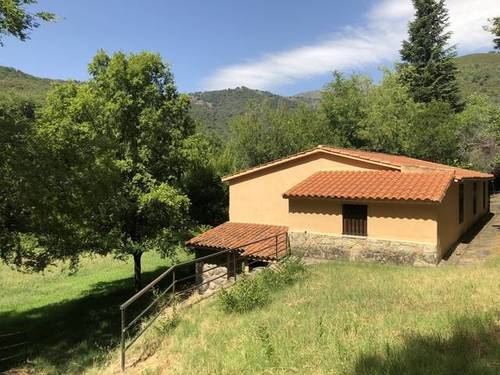 imagen 6 de Venta de finca rústica en Candeleda