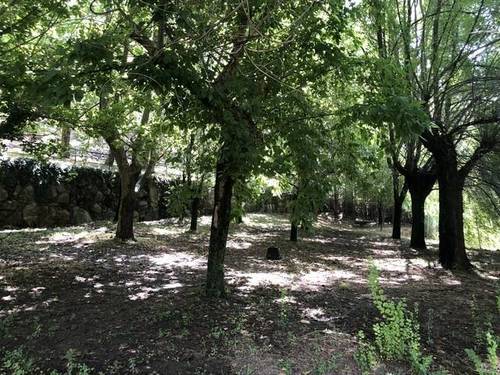 imagen 8 de Venta de finca rústica en Candeleda