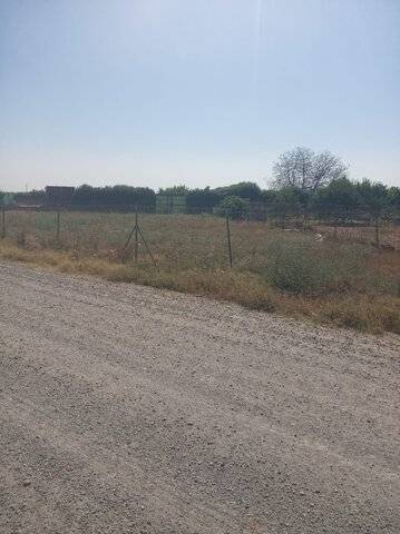 imagen 2 de Venta de huerto en Puebla De La Calzada