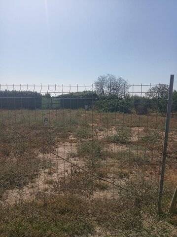 imagen 4 de Venta de huerto en Puebla De La Calzada