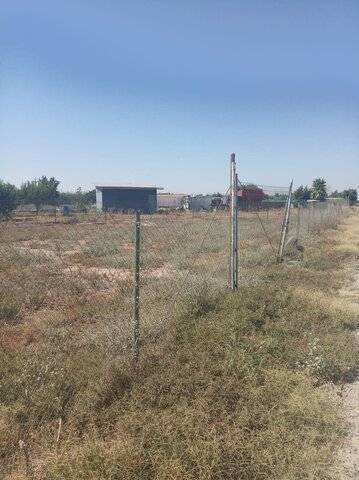 imagen 3 de Venta de huerto en Puebla De La Calzada