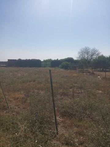 imagen 5 de Venta de huerto en Puebla De La Calzada