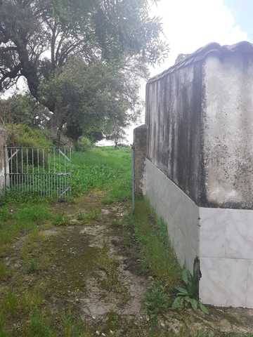 imagen 2 de Venta de fincas en Salvatierra De Los Barros
