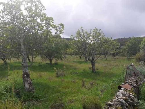 imagen 3 de Venta de fincas en Salvatierra De Los Barros