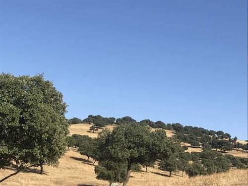 imagen 3 de Venta de Finca en Helechosa De Los Montes