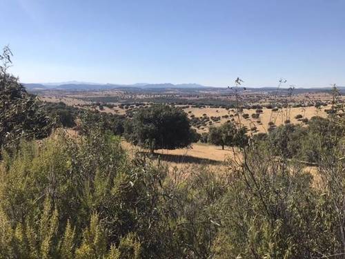 imagen 2 de Venta de Finca en Don Álvaro