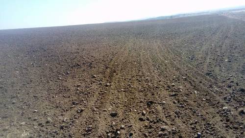 imagen 1 de Venta de Finca en Azuaga