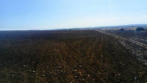 imagen 1 de Venta de Finca en Azuaga