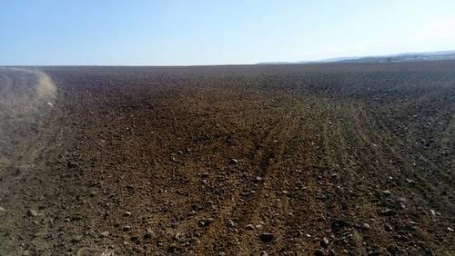 imagen 2 de Venta de Finca en Azuaga