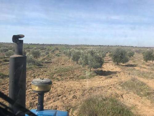 imagen 1 de Venta de Finca en Malpartida De La Serena