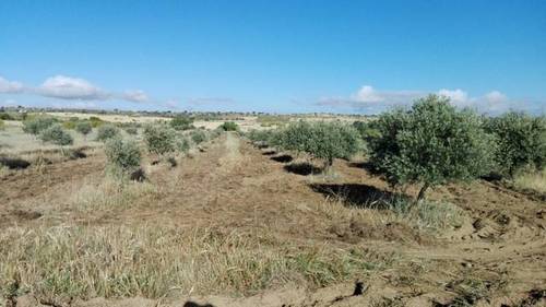 imagen 1 de Venta de Finca en Malpartida De La Serena
