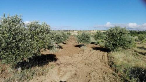 imagen 2 de Venta de Finca en Malpartida De La Serena