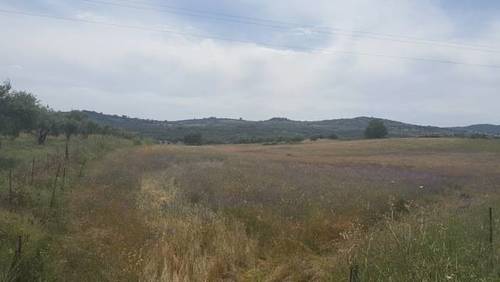imagen 2 de Venta de fincas en Fregenal De La Sierra