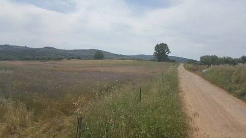 imagen 3 de Venta de fincas en Fregenal De La Sierra