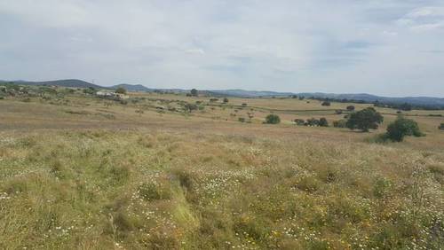 imagen 4 de Venta de fincas en Fregenal De La Sierra